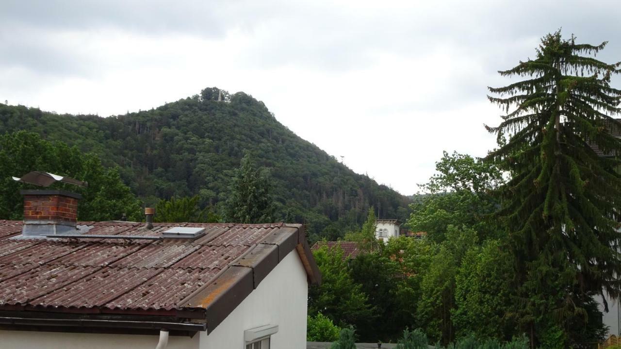 Ferienwohnung Loma Bad Harzburg Extérieur photo